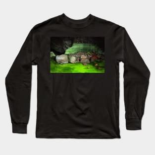 Ice Cave Long Sleeve T-Shirt